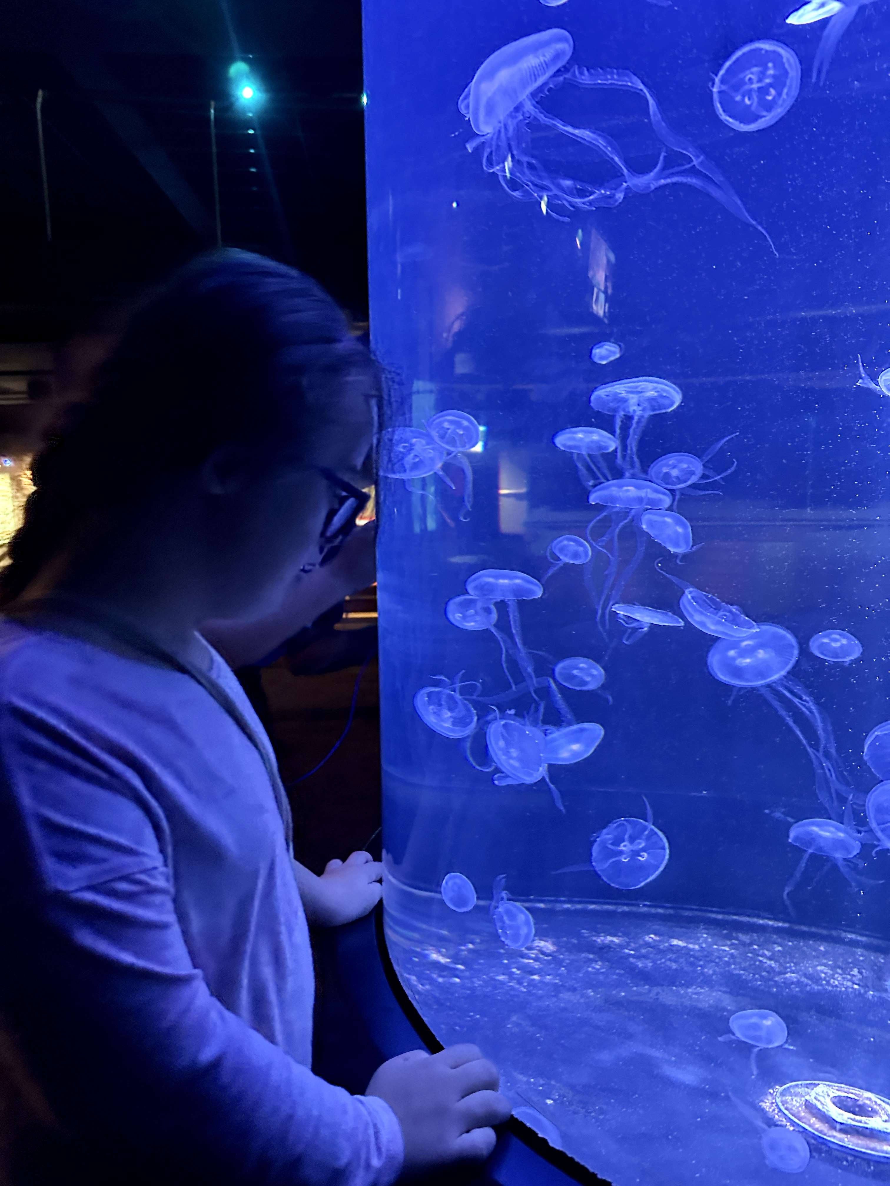 Aquarium